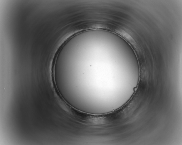 X0000088681039200706071422