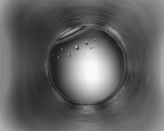 X0000088681041200706071422