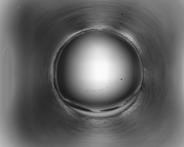 X0000088681046200706071422