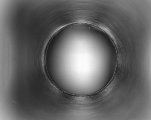 X0000088681048200706071422