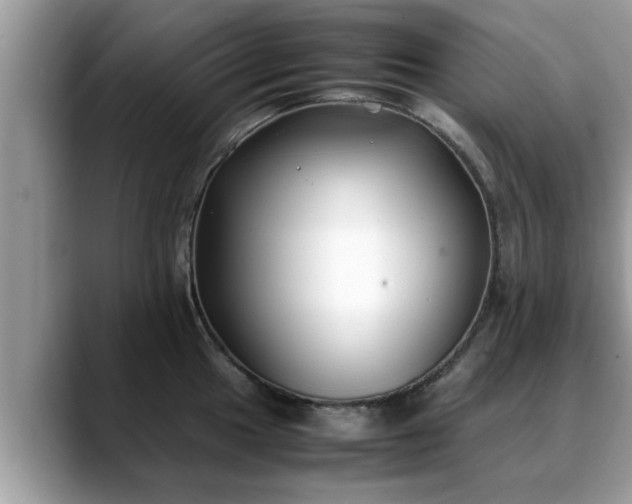X0000088681049200706071422
