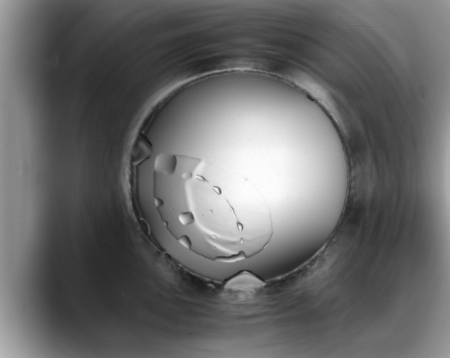 X0000088681051200706071422