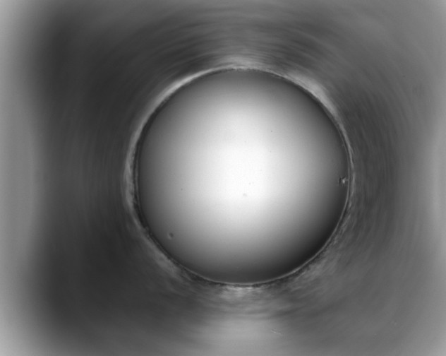 X0000088681056200706071422
