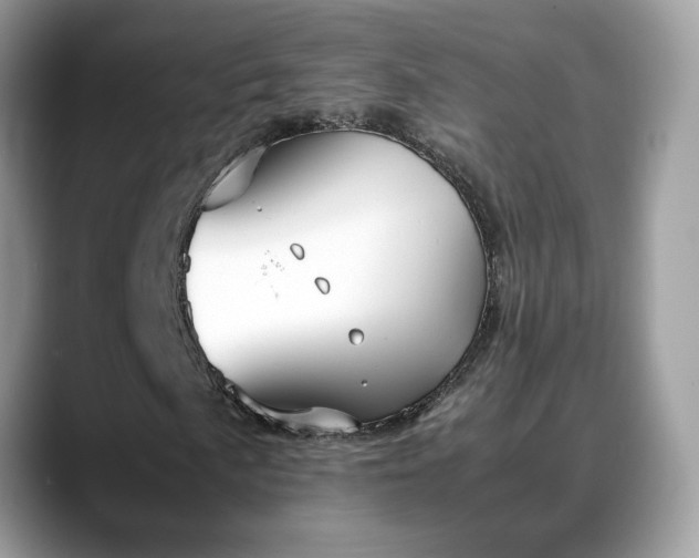 X0000088681057200706071422