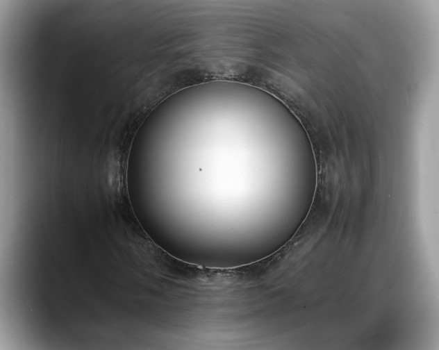 X0000088681058200706071422