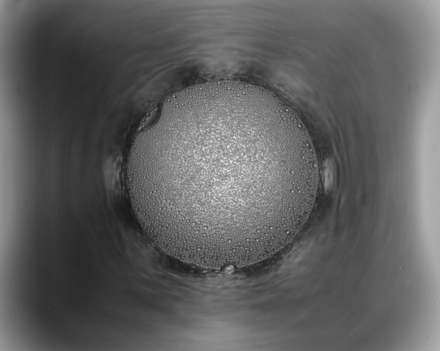 X0000088681059200706071422