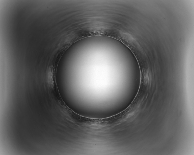 X0000088681060200706071422