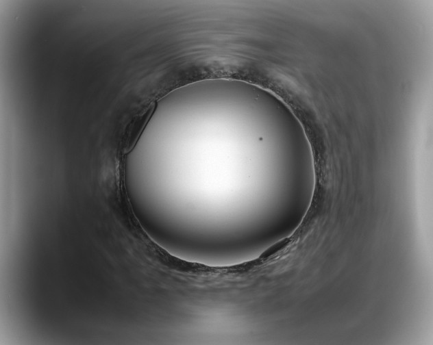 X0000088681061200706071422