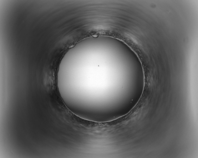 X0000088681062200706071422