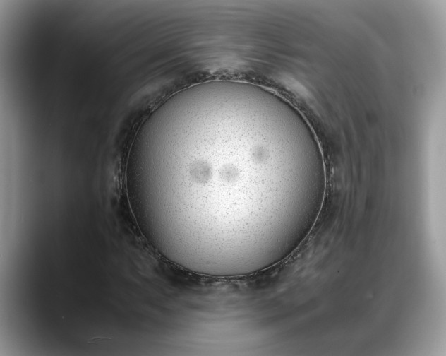 X0000088681063200706071422