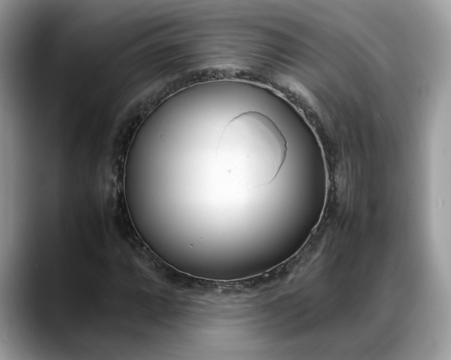 X0000088681064200706071421
