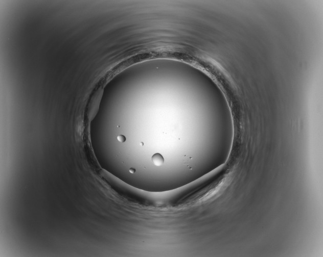 X0000088681065200706071421