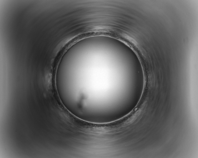X0000088681066200706071421