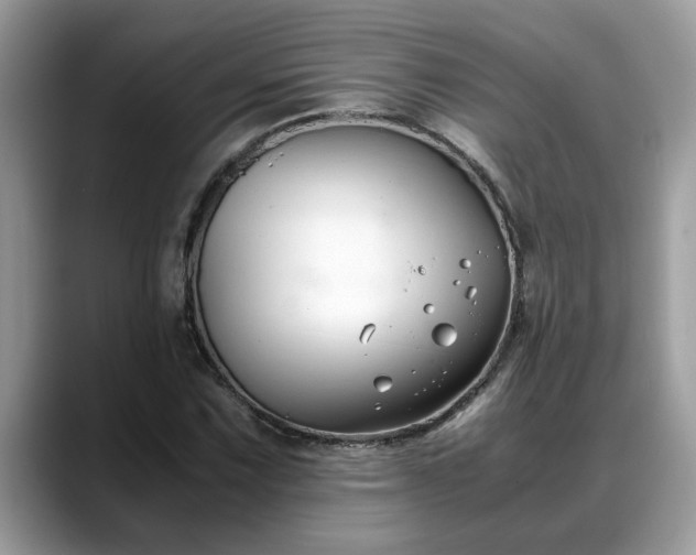 X0000088681067200706071421