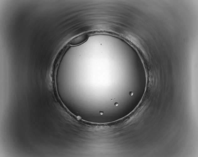 X0000088681068200706071421