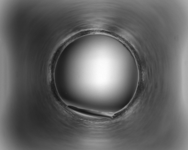 X0000088681069200706071421