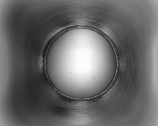 X0000088681070200706071421