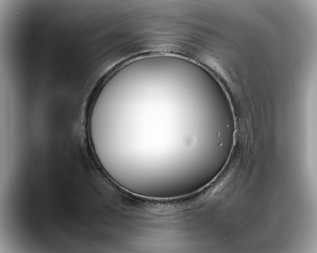X0000088681071200706071421