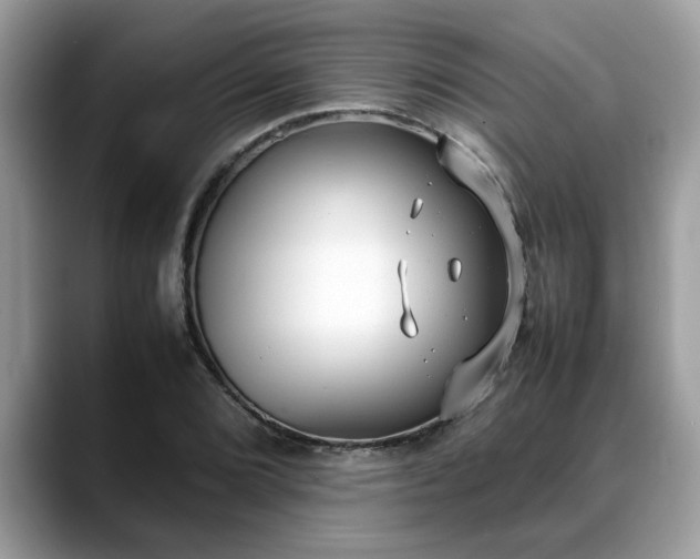 X0000088681072200706071421