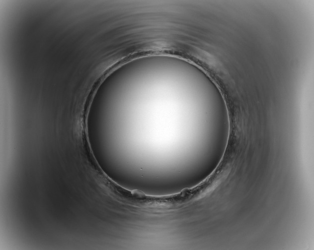 X0000088681073200706071421
