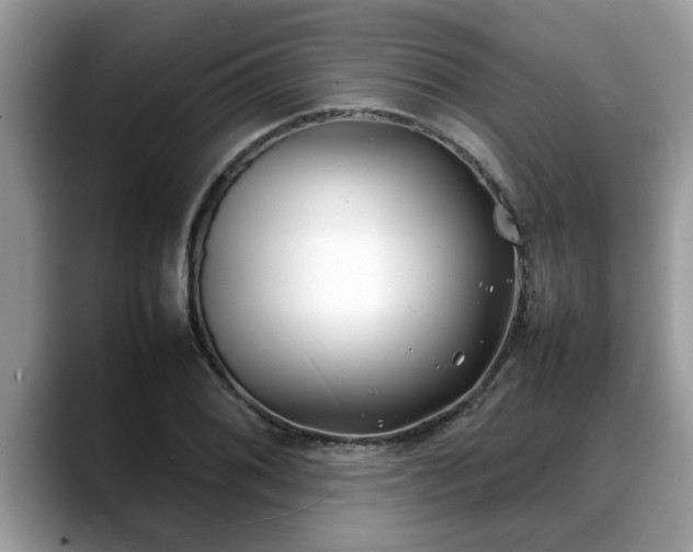 X0000088681076200706071421
