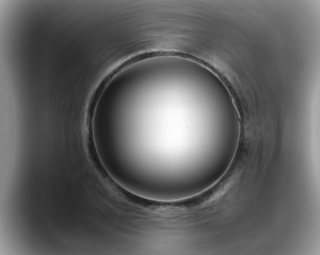 X0000088681077200706071421