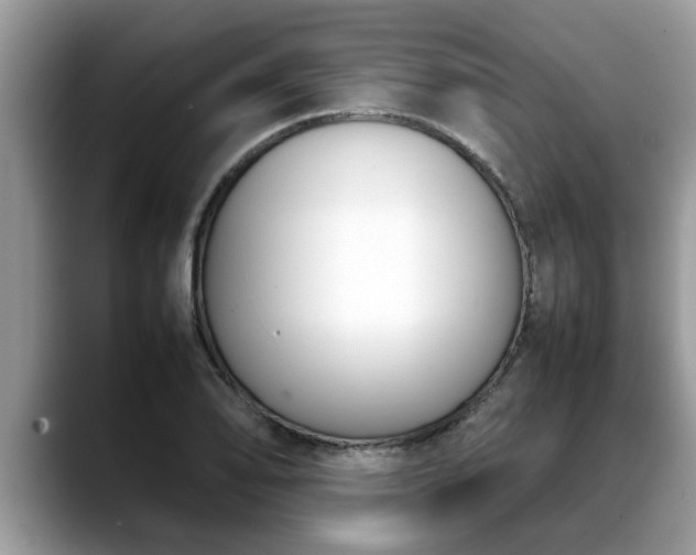 X0000088681078200706071421