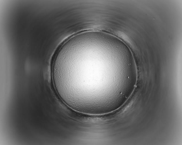 X0000088681079200706071421