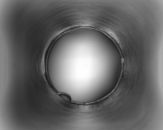 X0000088681080200706071421
