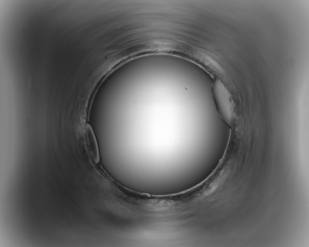 X0000088681081200706071421