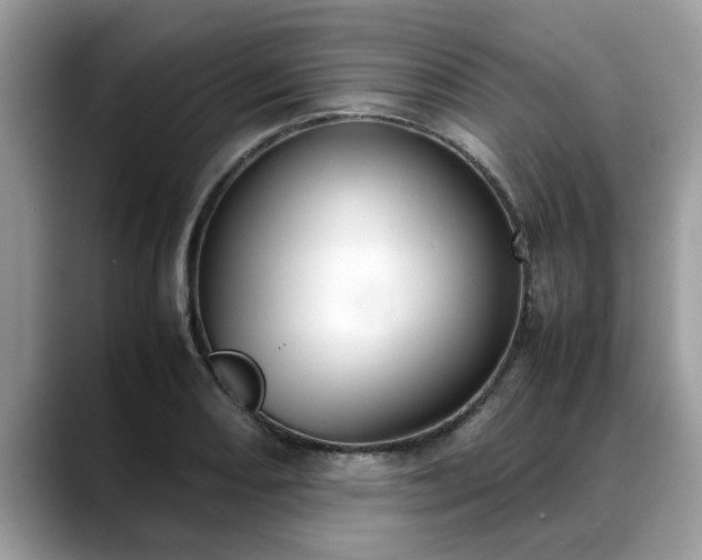 X0000088681082200706071421