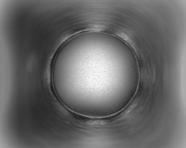 X0000088681083200706071421