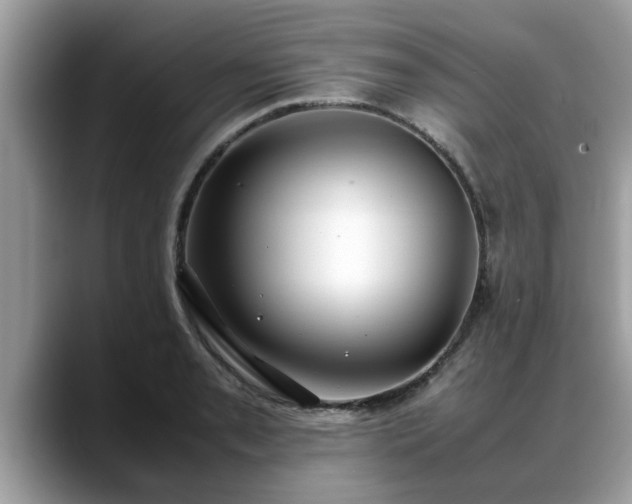 X0000088681085200706071421