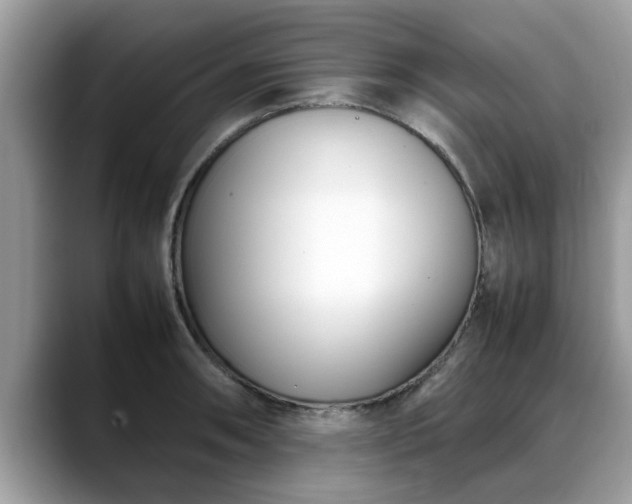 X0000088681090200706071421