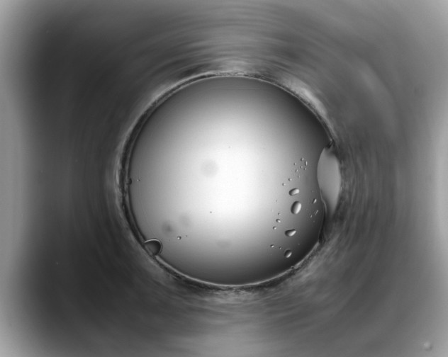 X0000088681091200706071421