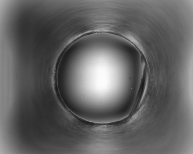 X0000088681093200706071421
