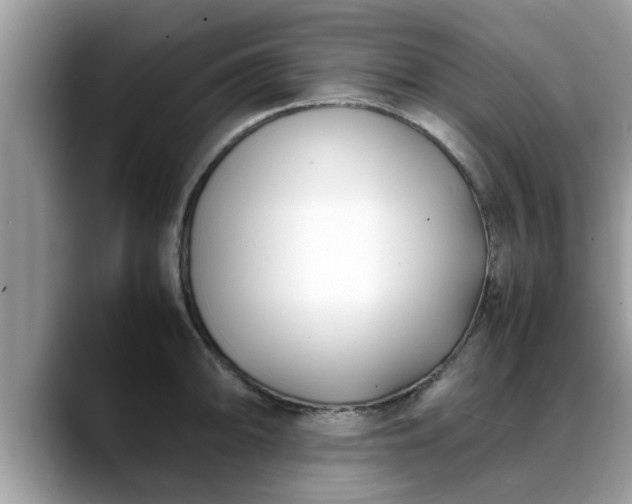 X0000088681094200706071421