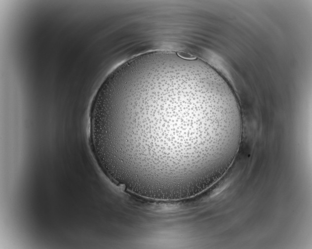 X0000088681095200706071421
