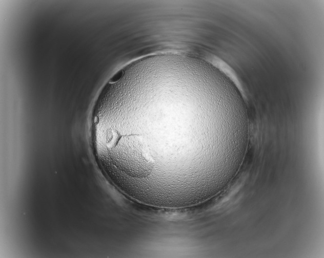X0000088681099200706071421