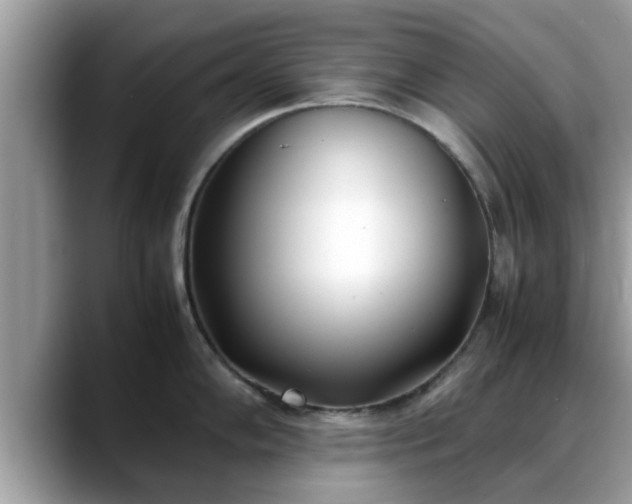 X0000088681102200706071421