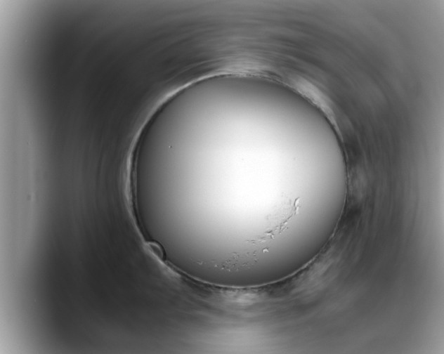 X0000088681103200706071421