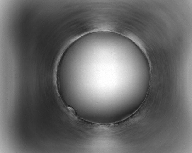 X0000088681104200706071421