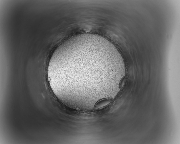X0000088681105200706071420