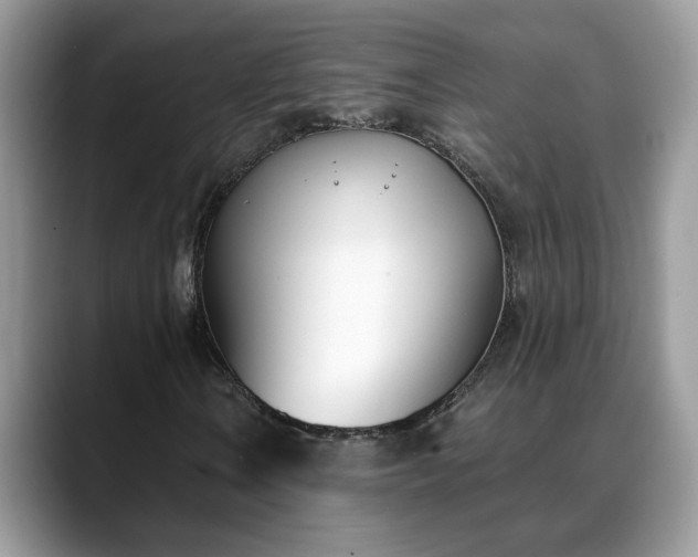 X0000088681106200706071420