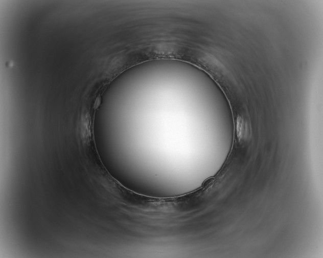 X0000088681107200706071420
