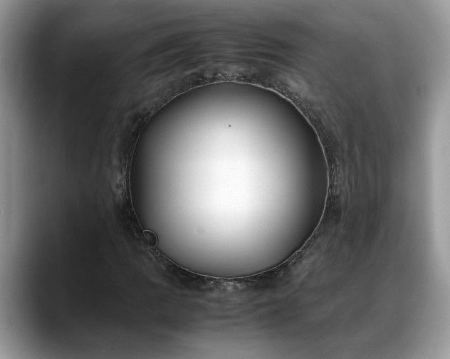 X0000088681109200706071420