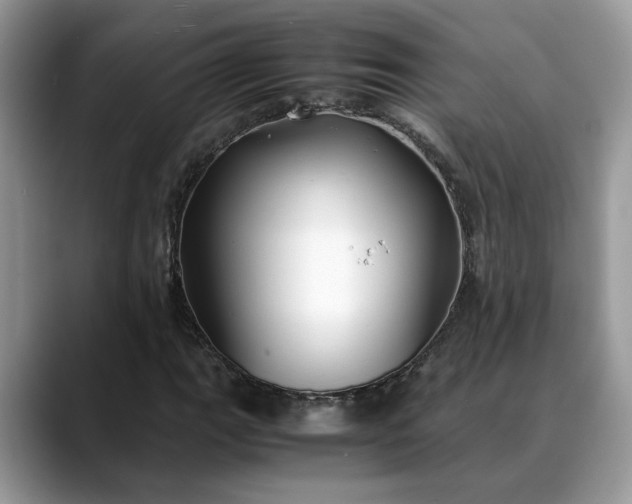 X0000088681111200706071420