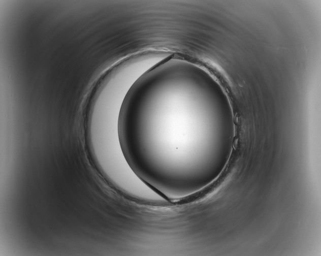 X0000088681114200706071420