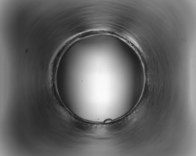 X0000088681116200706071420
