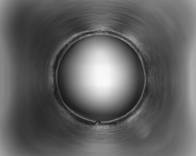 X0000088681118200706071421